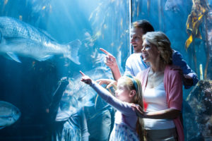 family pointing at fish at Ripley's Aquarium of the Smokies